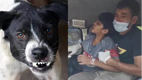 कुत्ते के काटने से 14 साल के लड़के की रेबीज से मौत, इलाज के लिए भटकता रहा पिता.